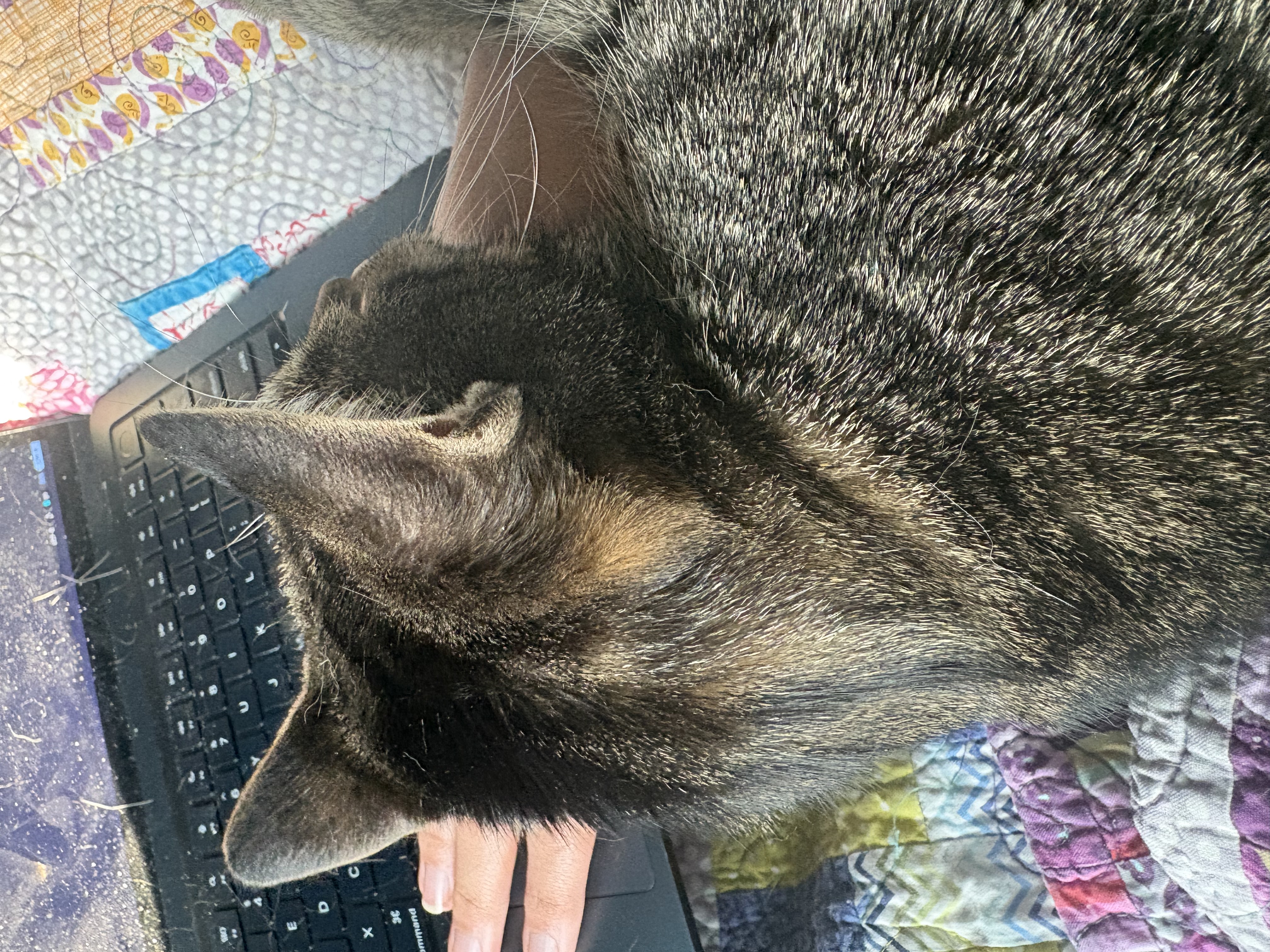 Bismuth 'helping' me