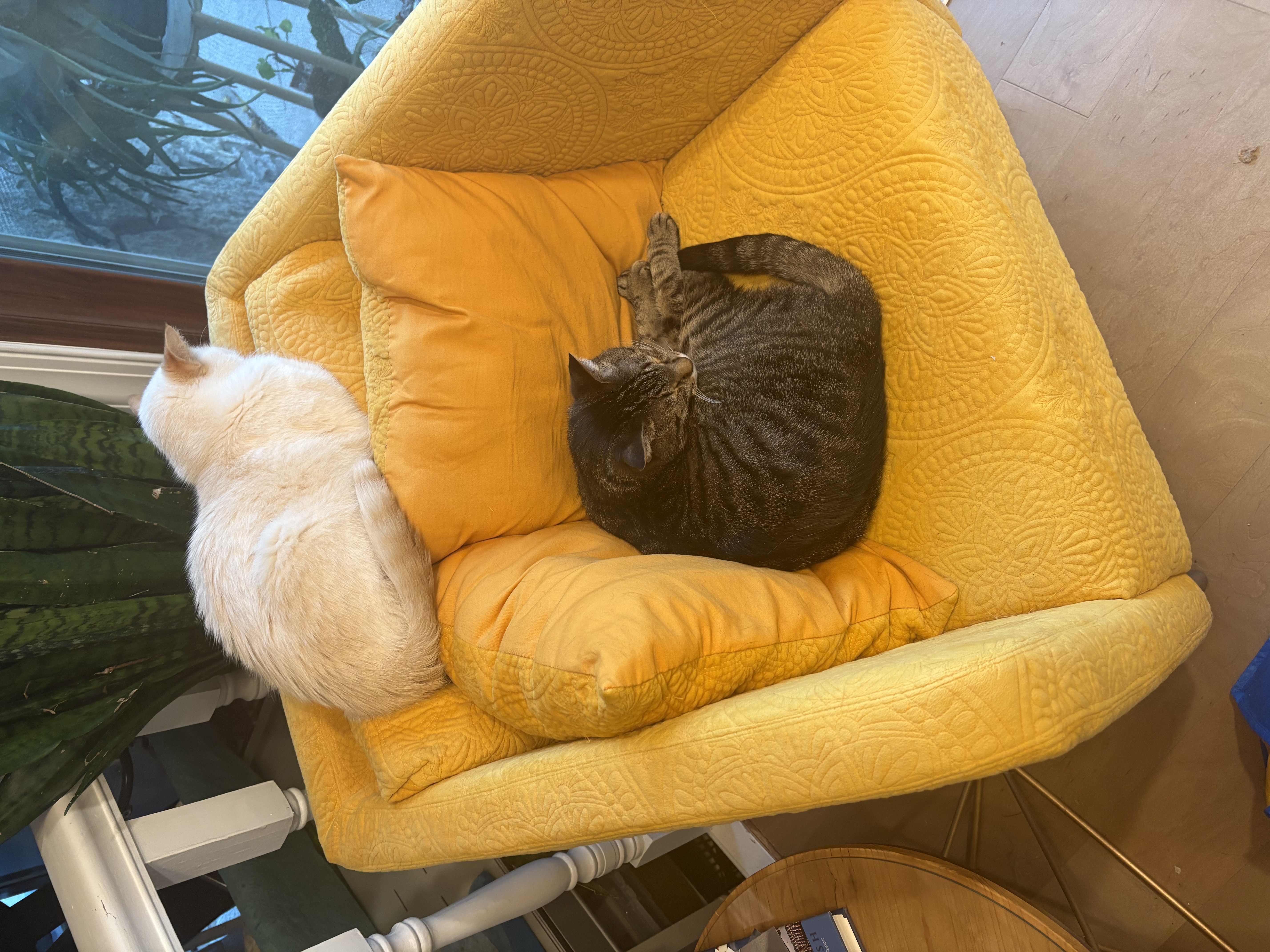 Bismuth and Rescue existing hear eachother